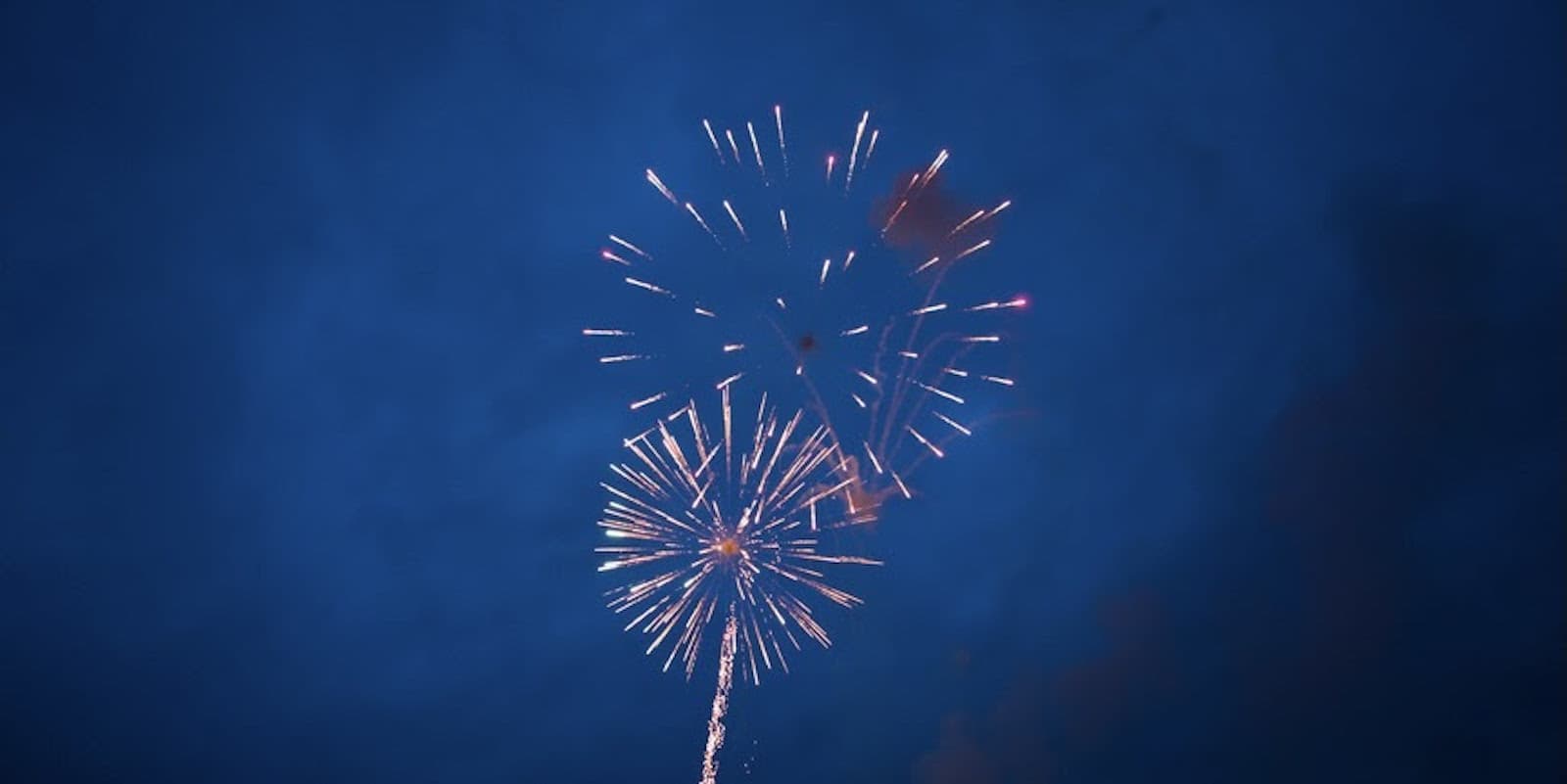 A photograph of a dark blue sky with two fireworks mid-explosion at center.