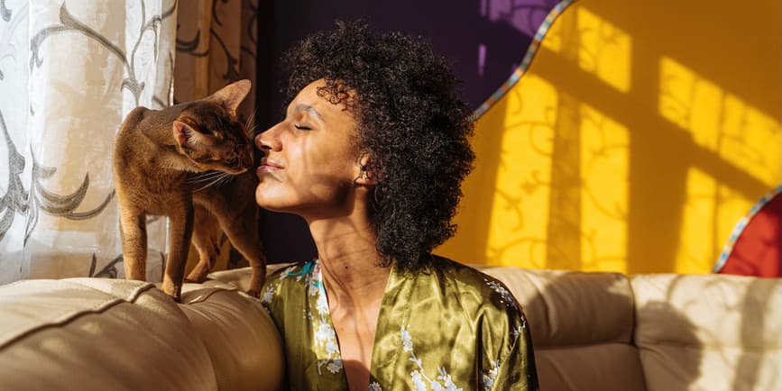 Woman at home with cat A Black woman with curly dark hair wearing a silk robe sits on her couch against a gold wall, enjoying the sunlight and smiling as she cozies up to an orange cat perching on top of the sofa.